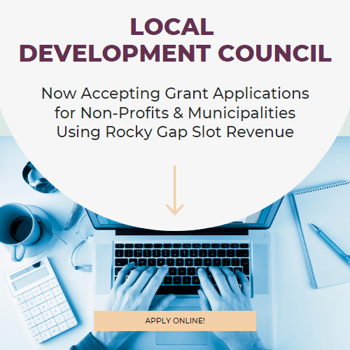 local dev council